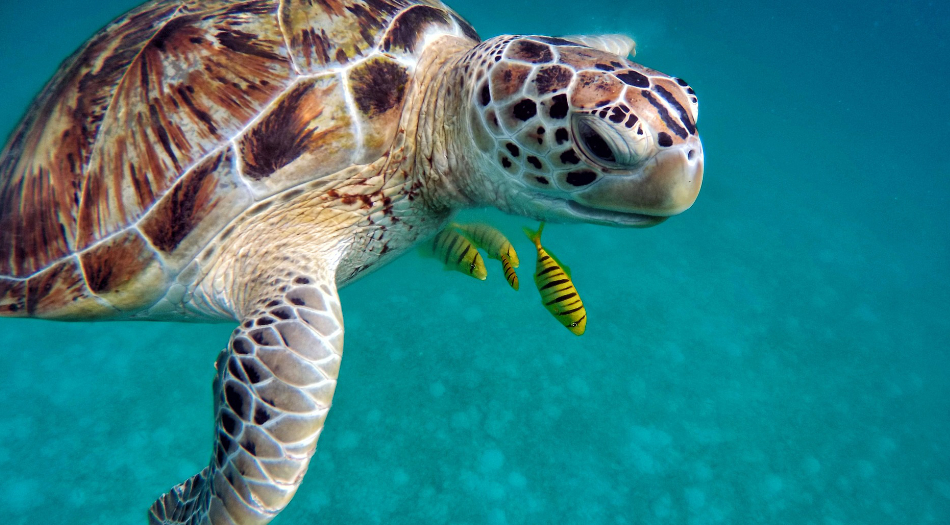 Amazing trip to Maldives