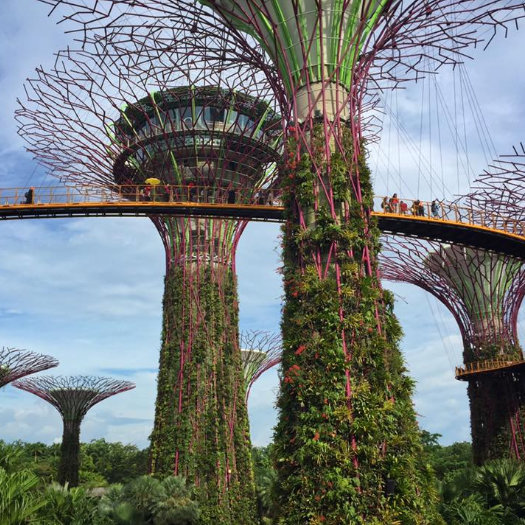 Asia Bucket List